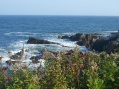 Maine - Portland Head